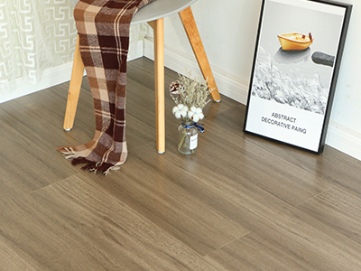 Delin Wood Industry German Technology Laminated Flooring