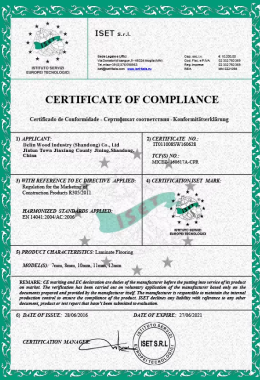 Honors and Qualifications