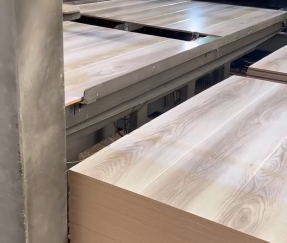 Laminate Flooring